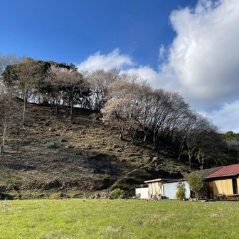 ありがとうわたごさま😊
今日山登りにきて良かったなぁ。