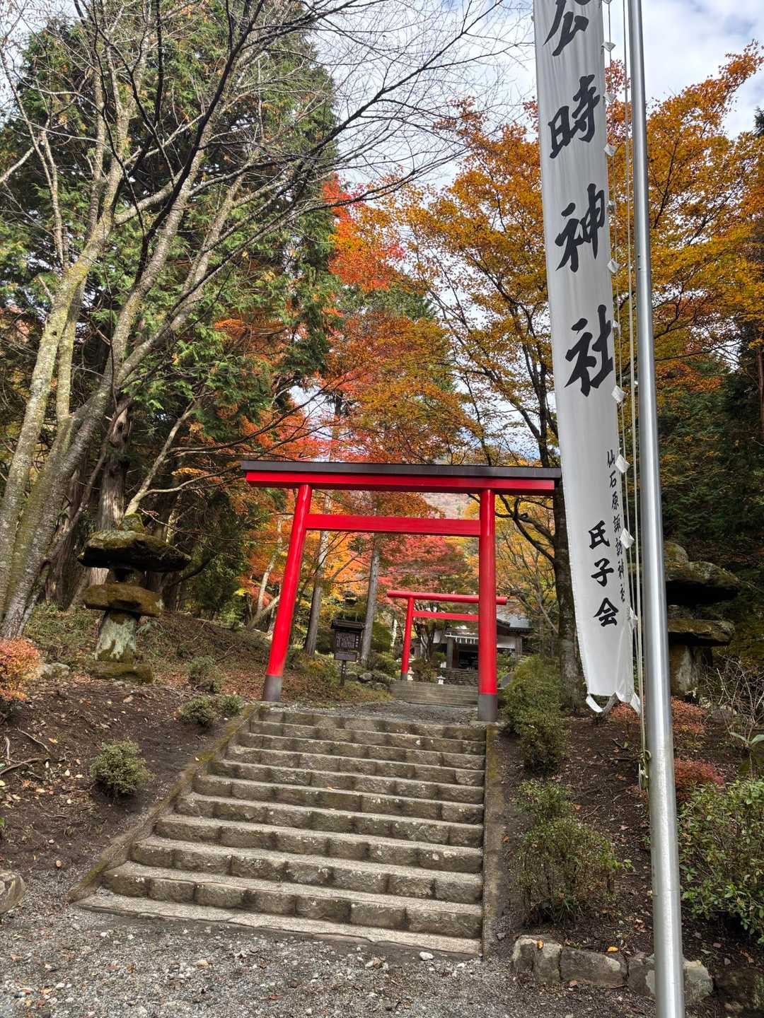 公時神社登山口-金時山-長尾山-乙女峠-姥ヶ茶屋 縦走コースの写真