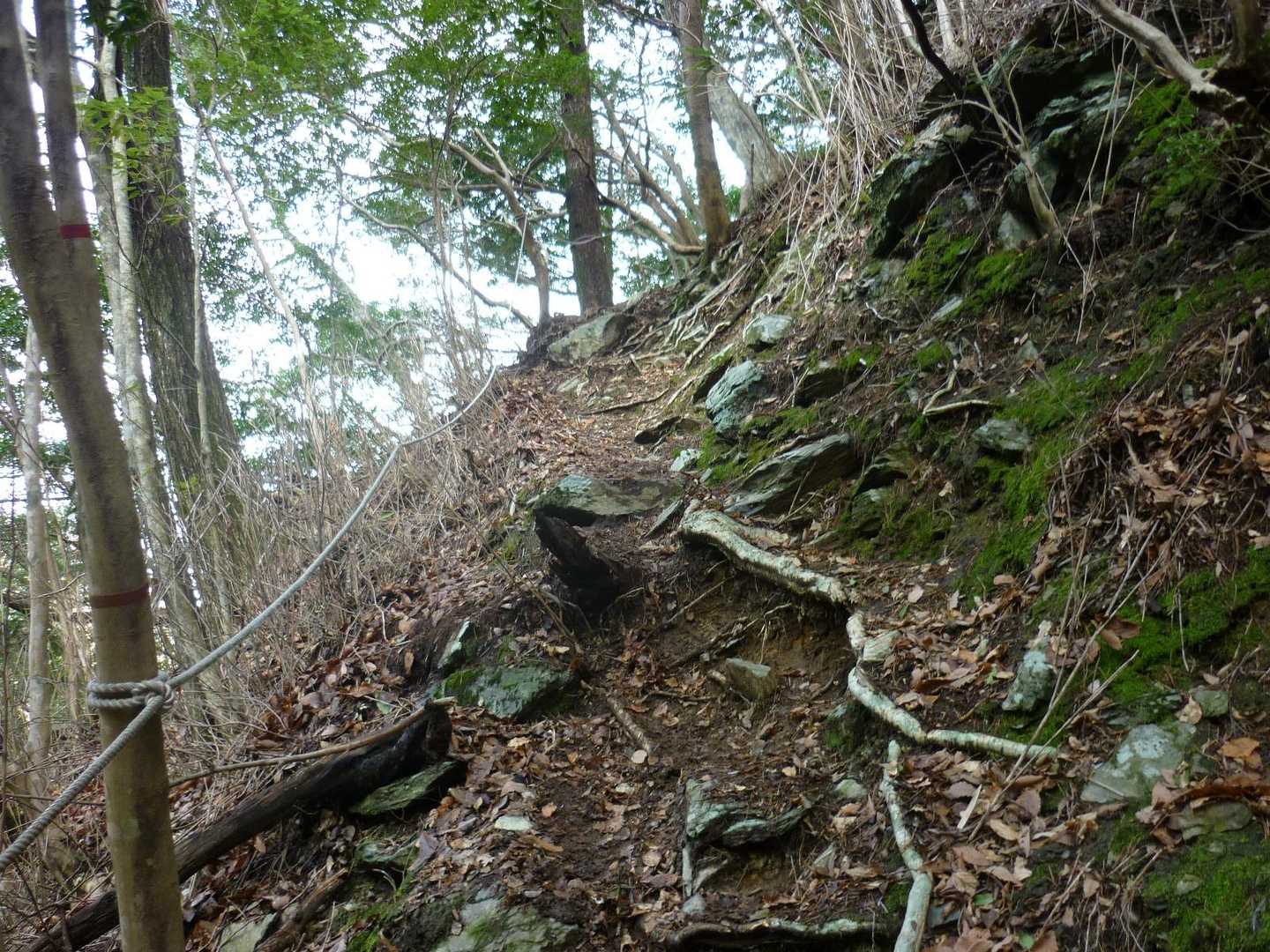 登山コースに入ると、いきなりの急斜面 💦