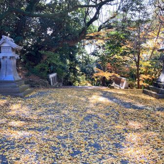 境内の奥は銀杏の絨毯でした