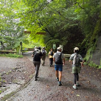 いつもの通り最後尾付近を歩きます🚶‍➡️
みなさんあっという間に打ち解けて和気あいあいとした雰囲気になるから不思議🤭