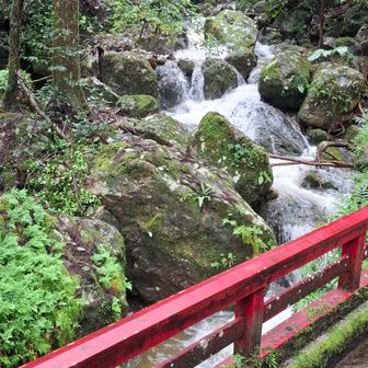 山門の先にも橋と綺麗な渓流が。