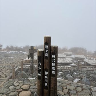 到着しても白い