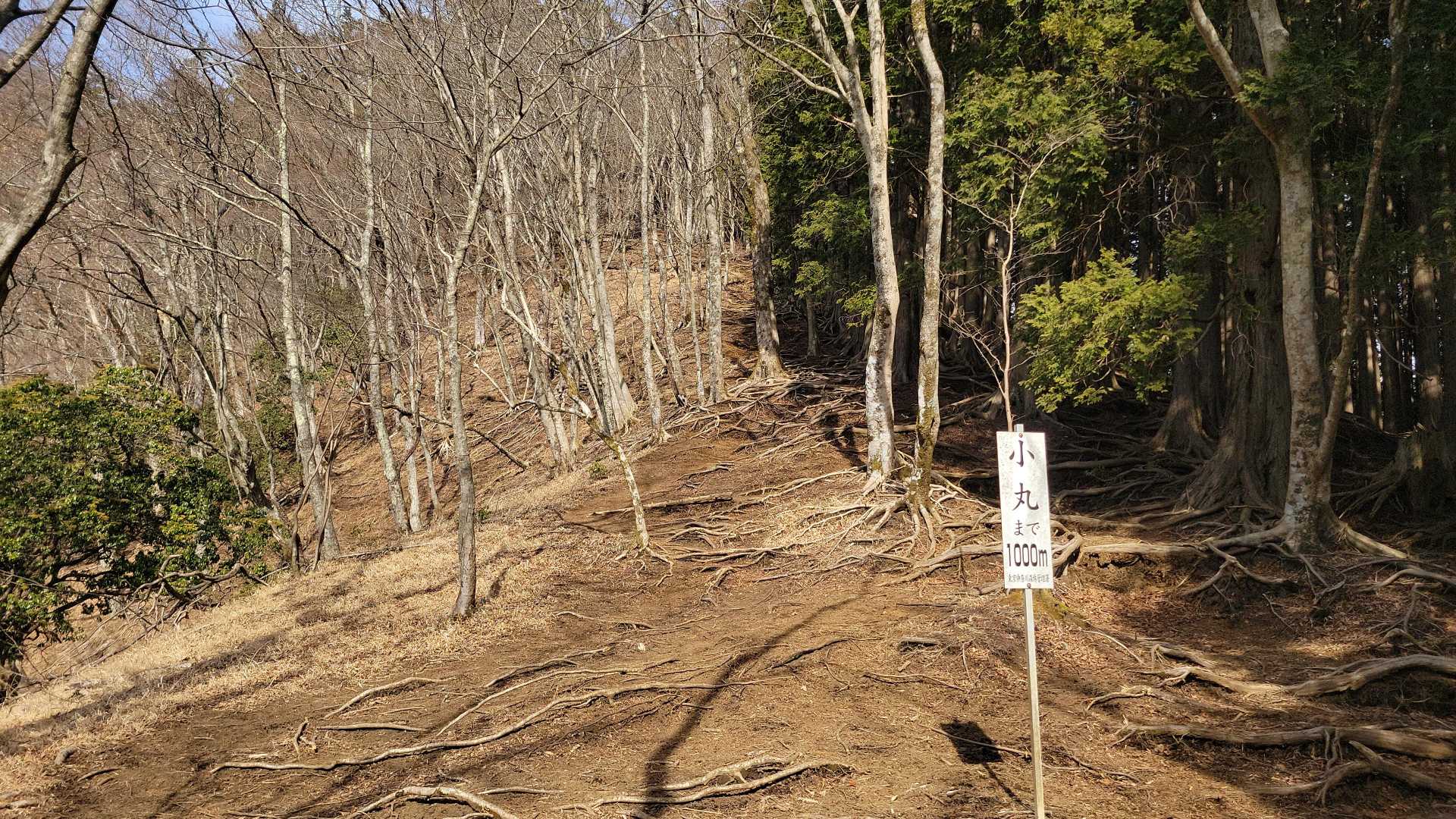 途中は写真を撮る余裕がありませんでした。
一気に1000m下ってきました。
ここからは比較的普通。