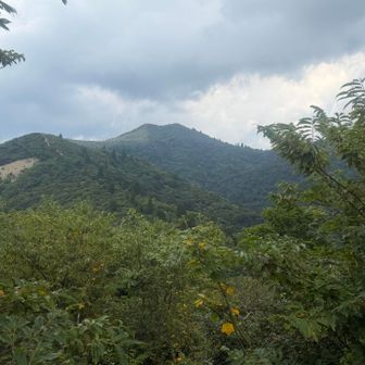 今回は、近いようで遠かった武奈ヶ岳😰