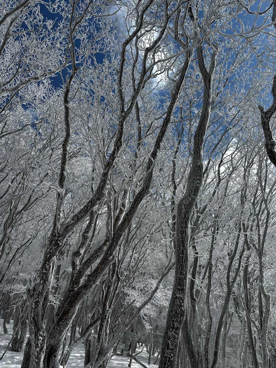 それにしても美しい😍