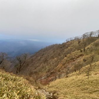 間もなく笹の峰