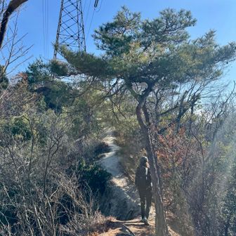 気持ち良き尾根。