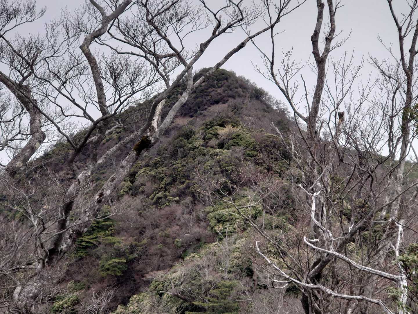 まだ先だもんね！大丈夫！
予習してますよ👍