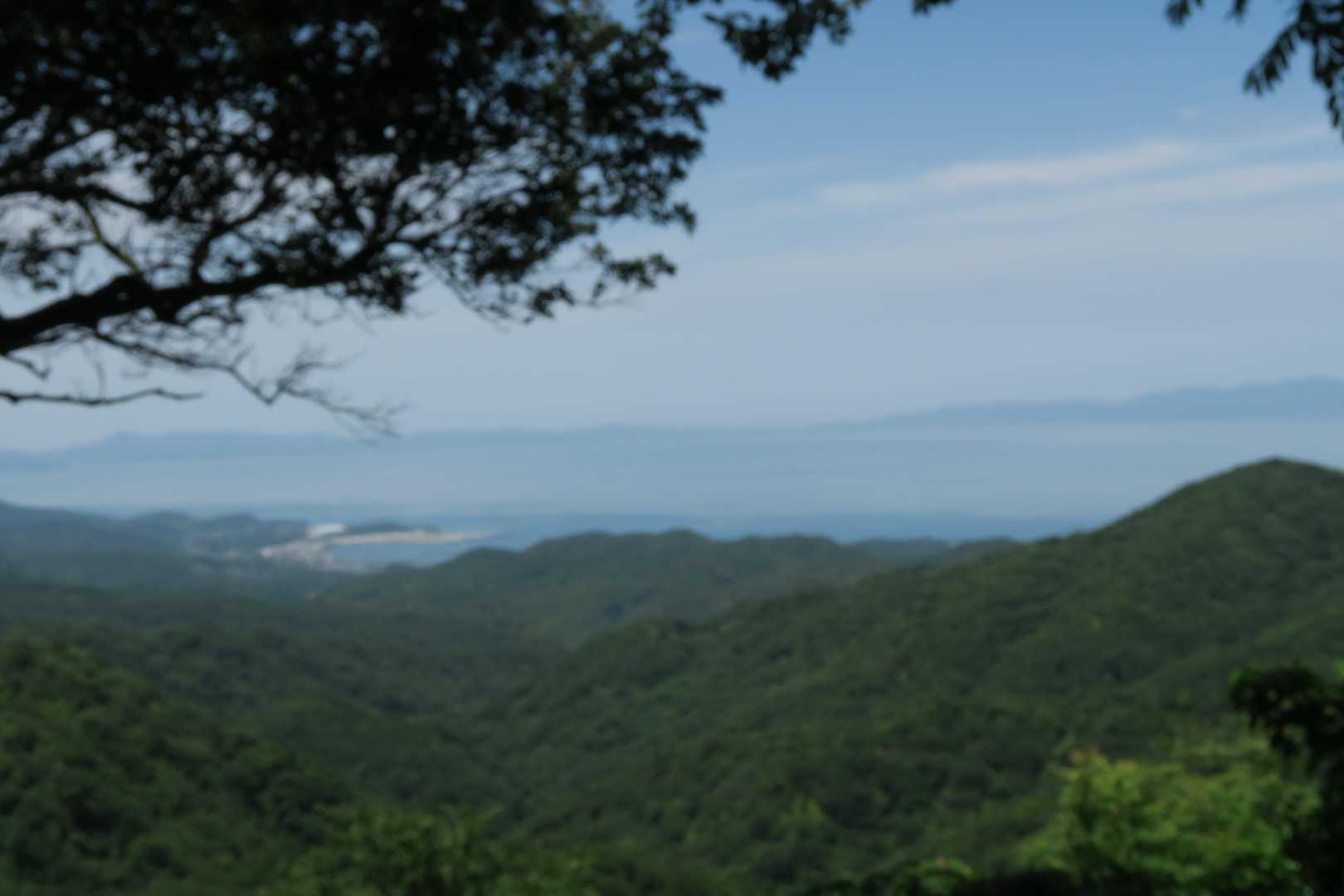 大阪湾も濁って見えます。