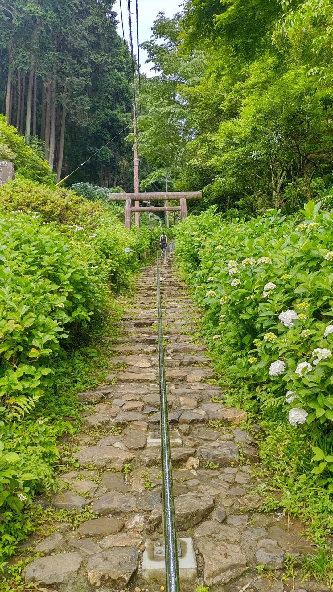太平山神社までは1,000段の石段を登っていきます。