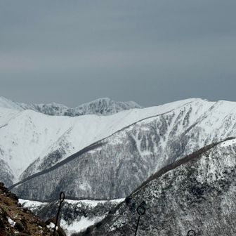 裏那須は良さげ。
