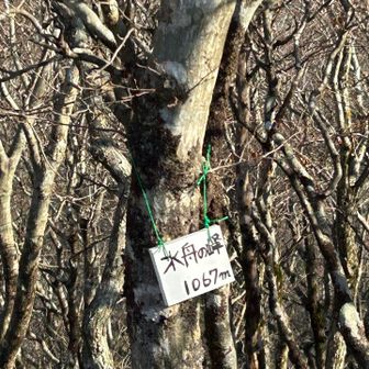 水舟の池は帰りに寄ります。往路は水舟の峰へ