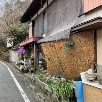 なんかいい感じ