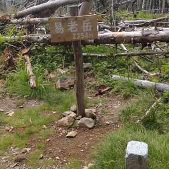 見晴らし無し　