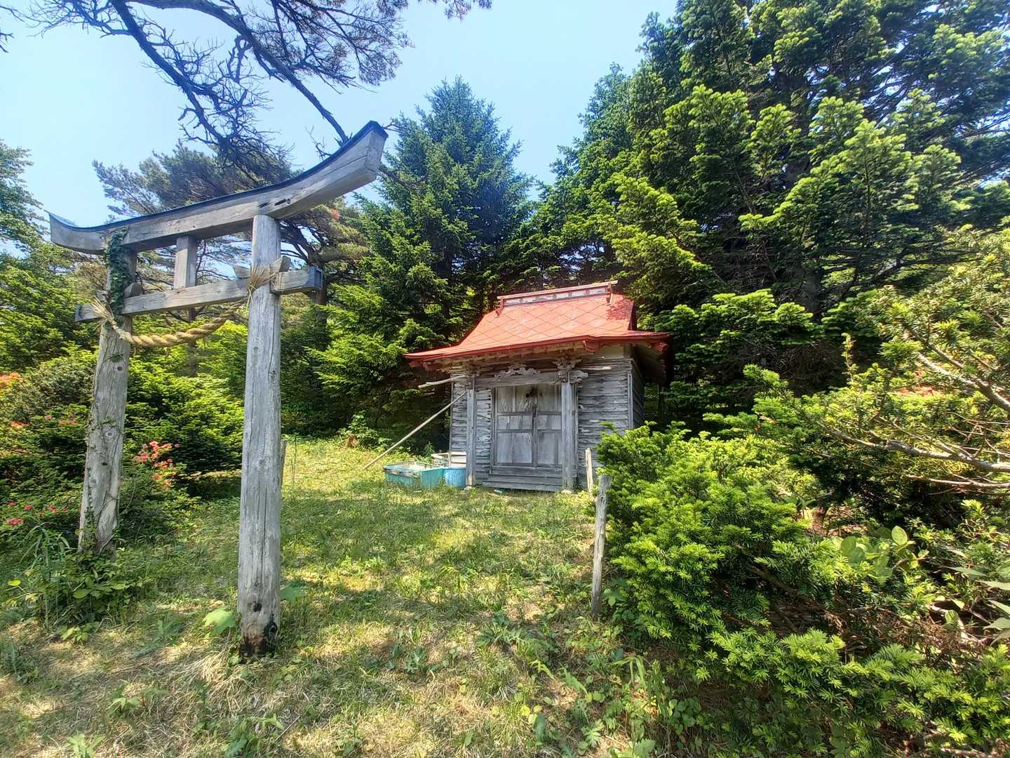 月山登山口-月山-貴寶神社奥院 往復コースの写真