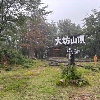 今日はここまで