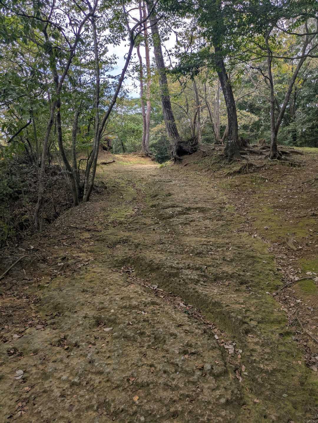 後半は大谷石ロード。とても歩きやすい。