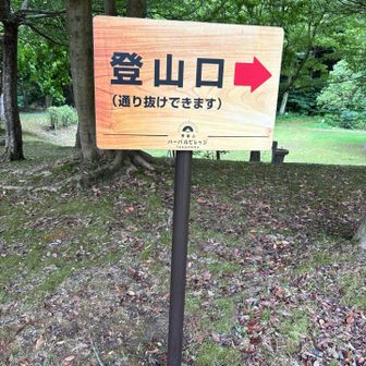 青葉山ハーバルビレッジからスタート