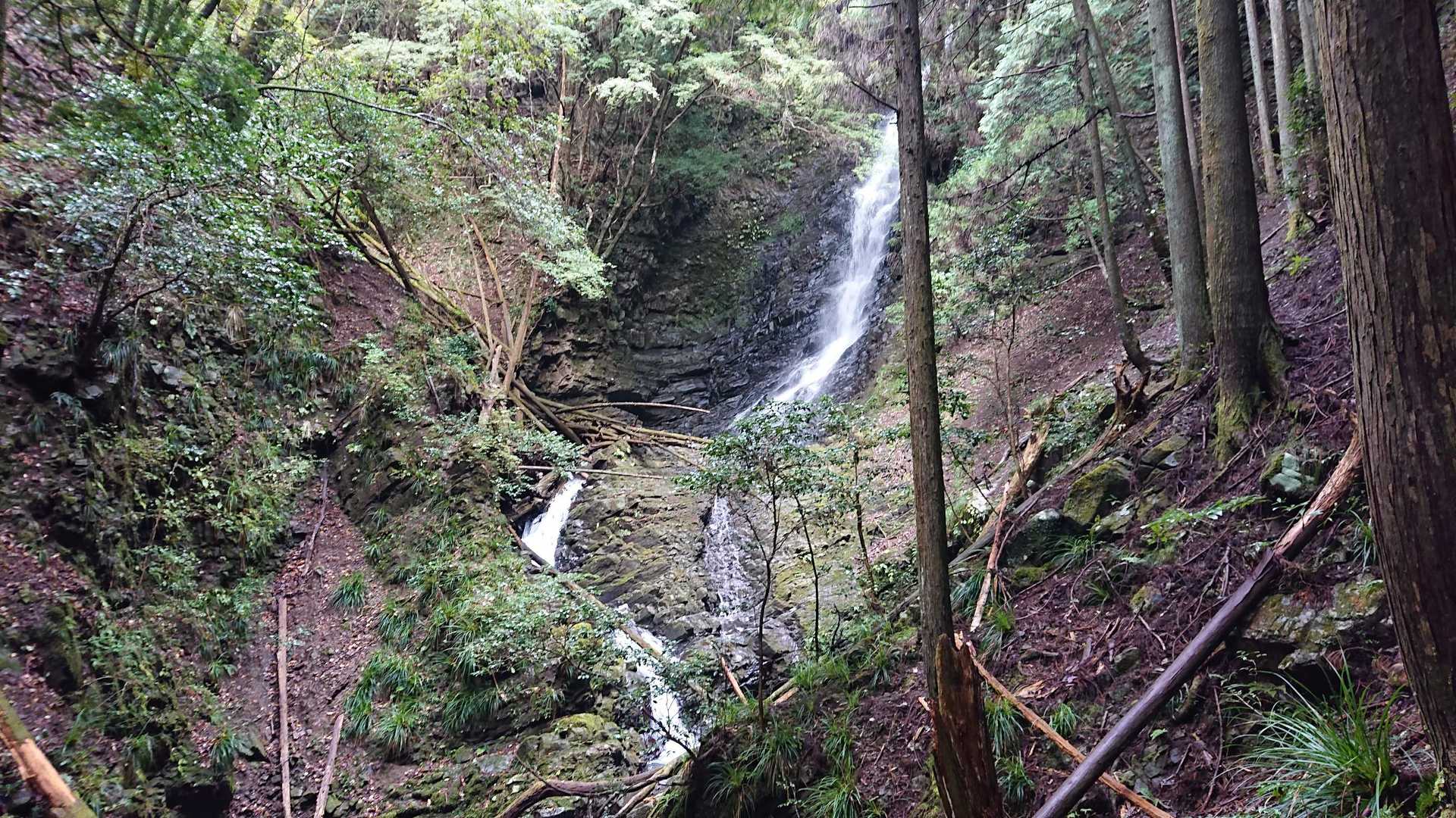 肝冷やしの滝もなかなかの水量😮