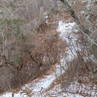 ❄️少々あり。