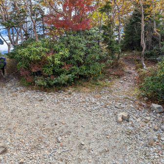 間違えてはいけない分岐