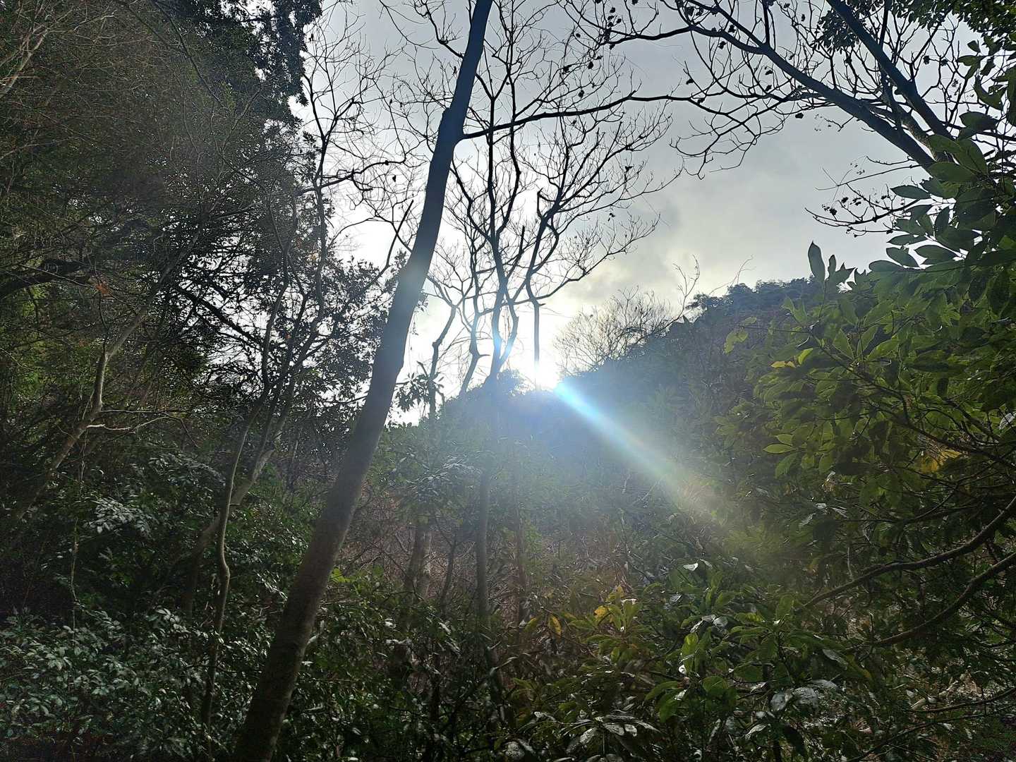 ご来光