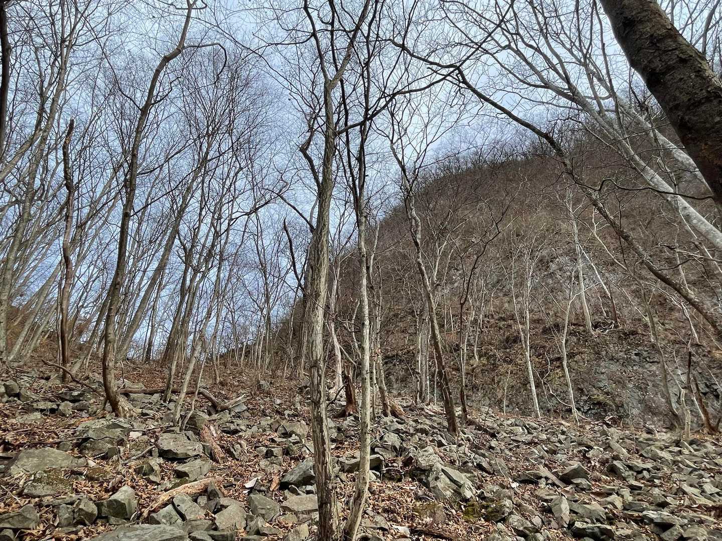 こっちは高ジョッキ側