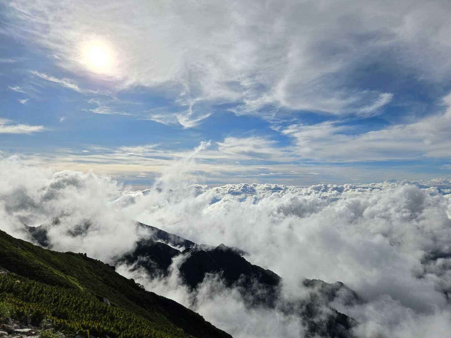 桂小場登山口-濃ヶ池 往復コースの写真