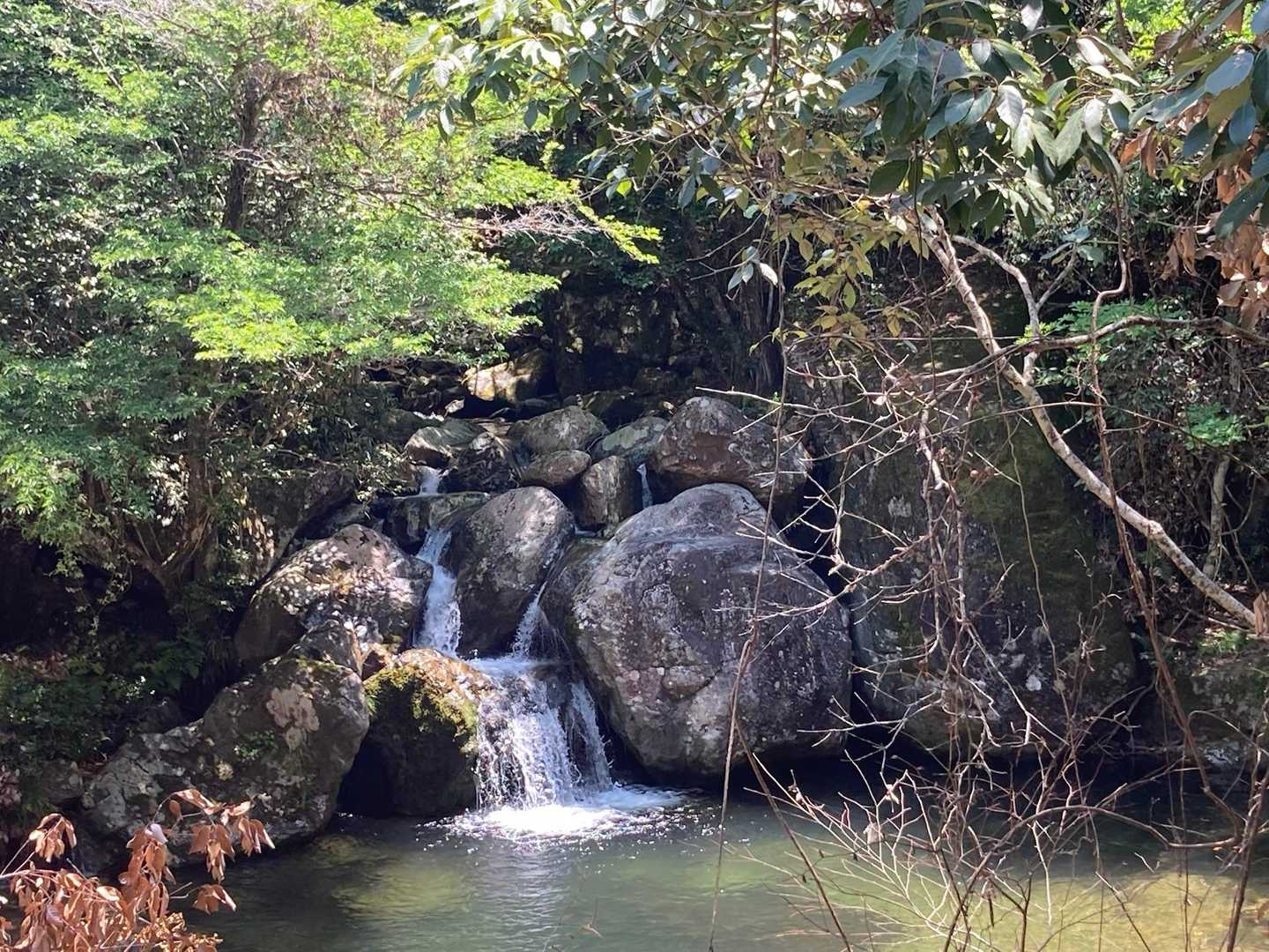 登山口反対側の滝壺　泳げる〜夏行こ