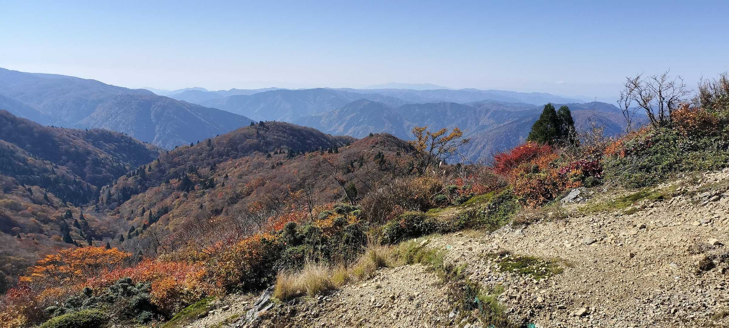 西南稜と御殿山🍁真っ赤に色付いた木が点々と🥰