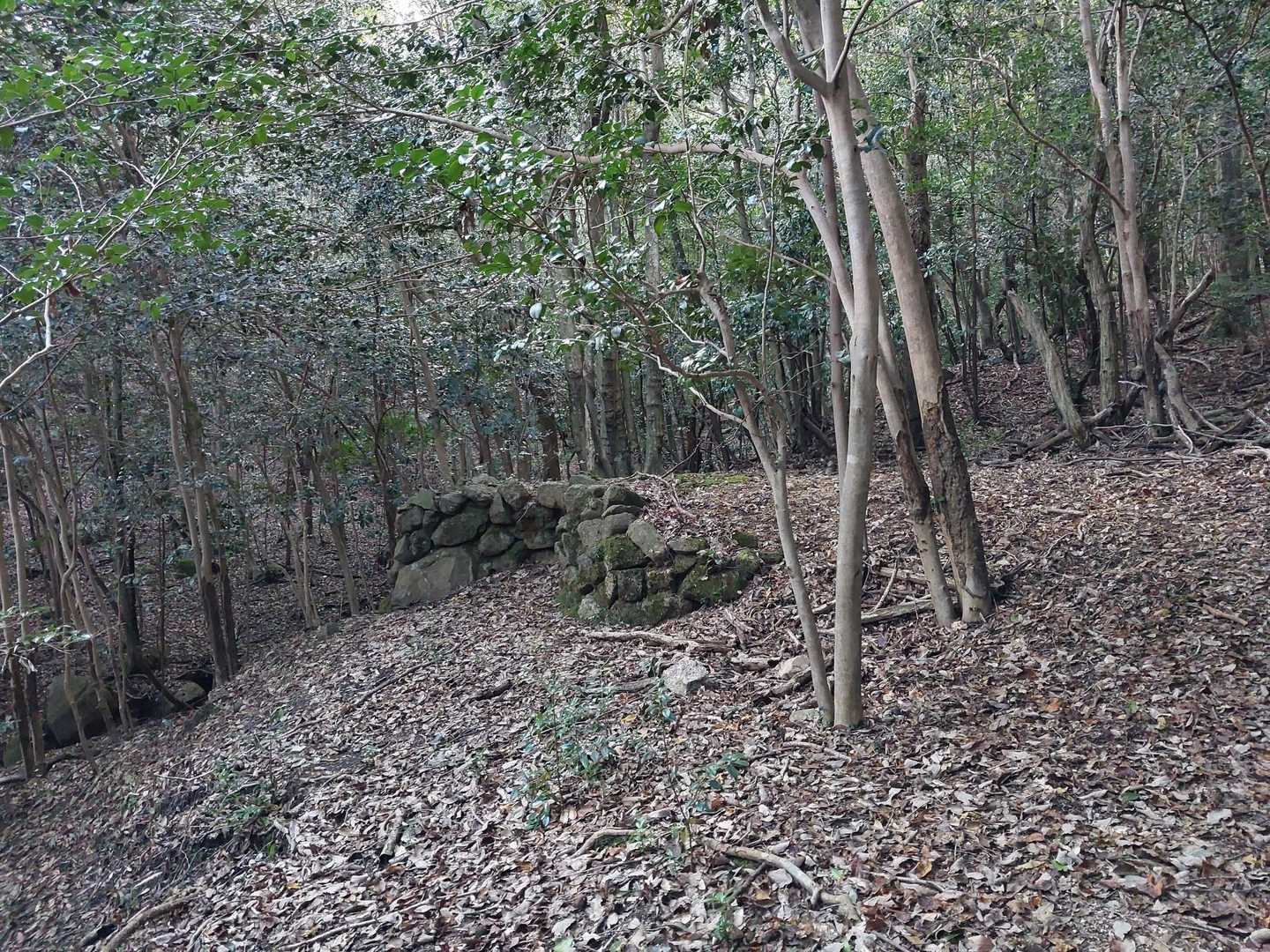 炭窯の跡がありました