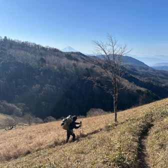 ええ感じに📸撮ってもらいました♪