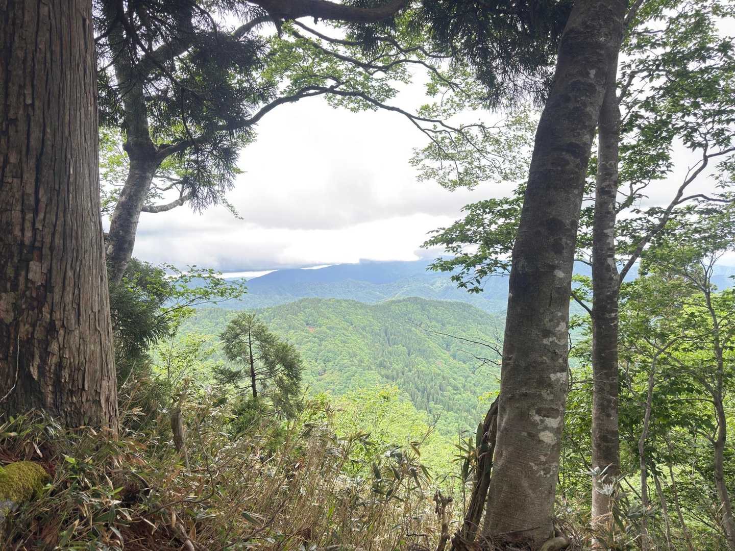 千ヶ峰、氷ノ山はガスがかかって見えませんでした。