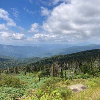 天気はまずまず。ごめんね、関東のみんな(関東は雨)。