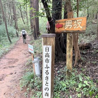 登りは男坂で👣