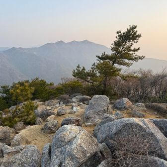 広々していて眺望も良い✨
お気に入りの山頂に！