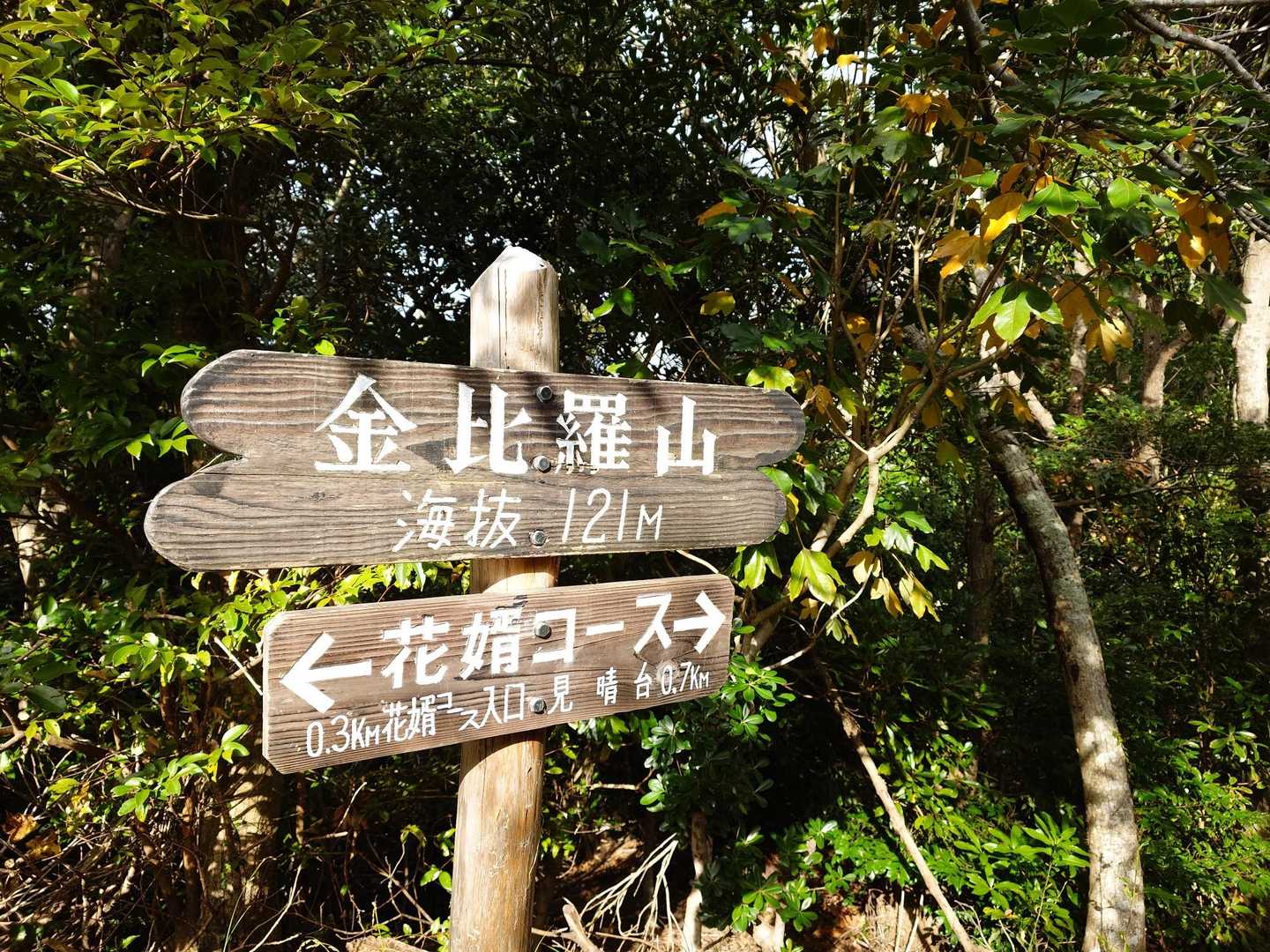 展望無し🙅