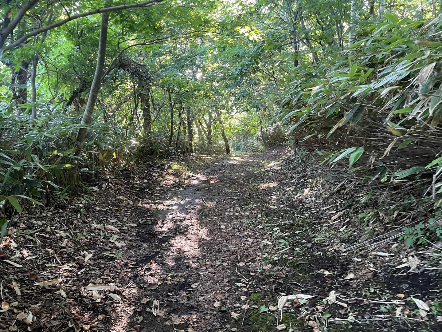 測量山 往復コースの写真