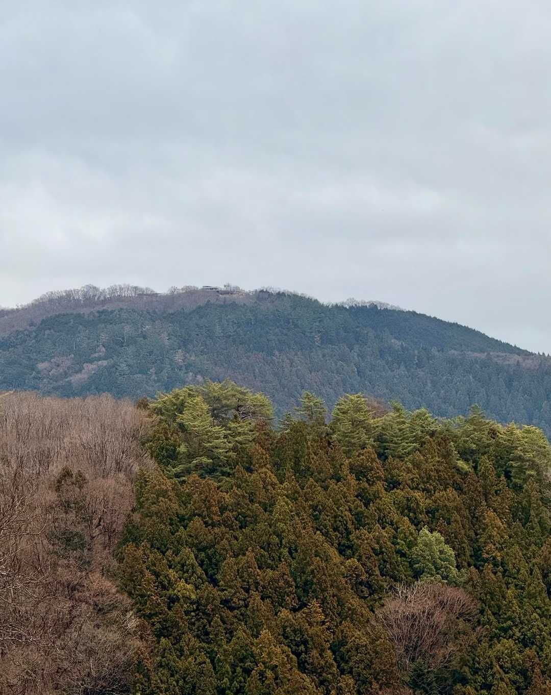 軍刀利神社-佐野川峠-生藤山 往復コースの写真