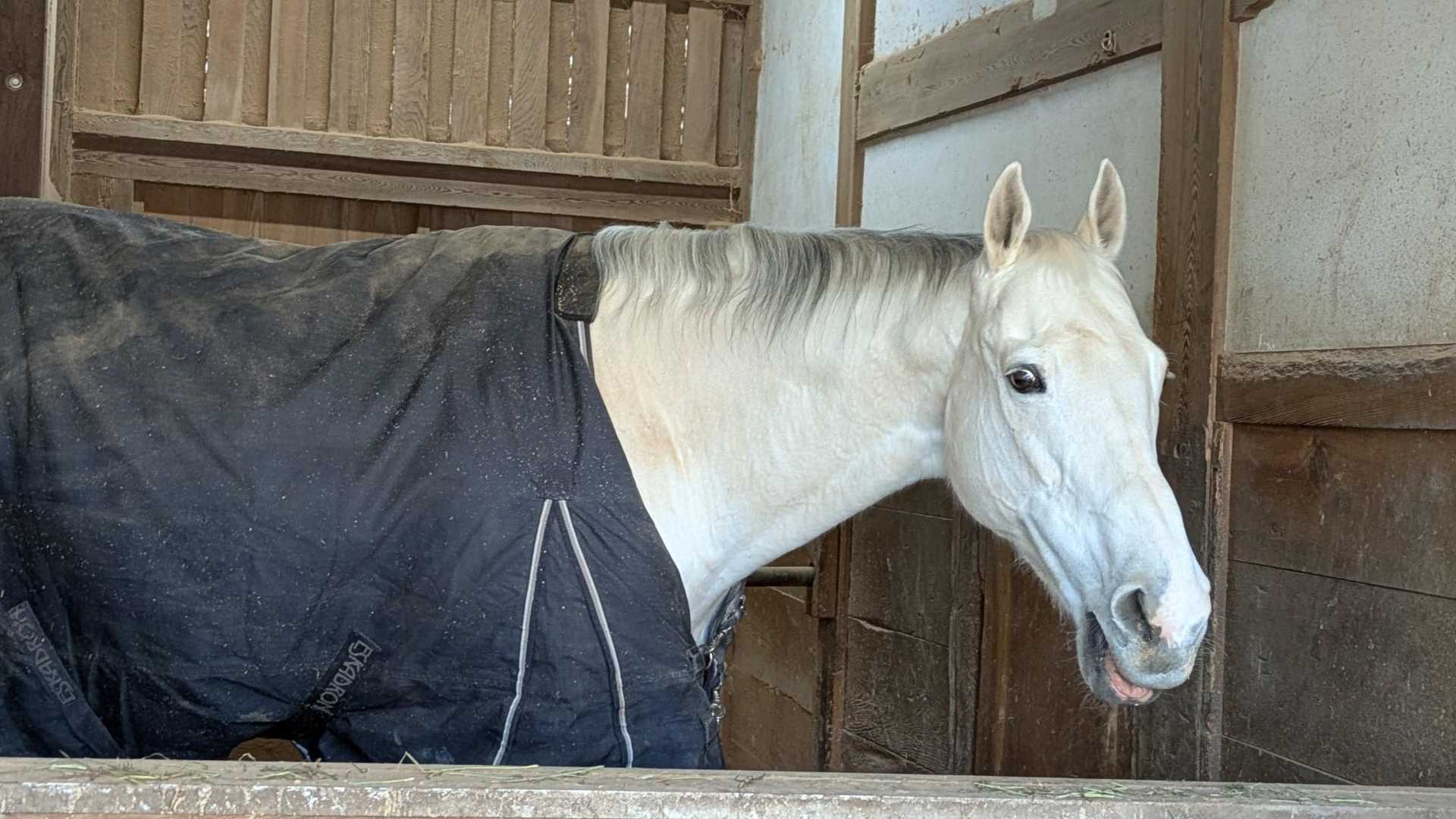 こうき号（カッコいい😄）