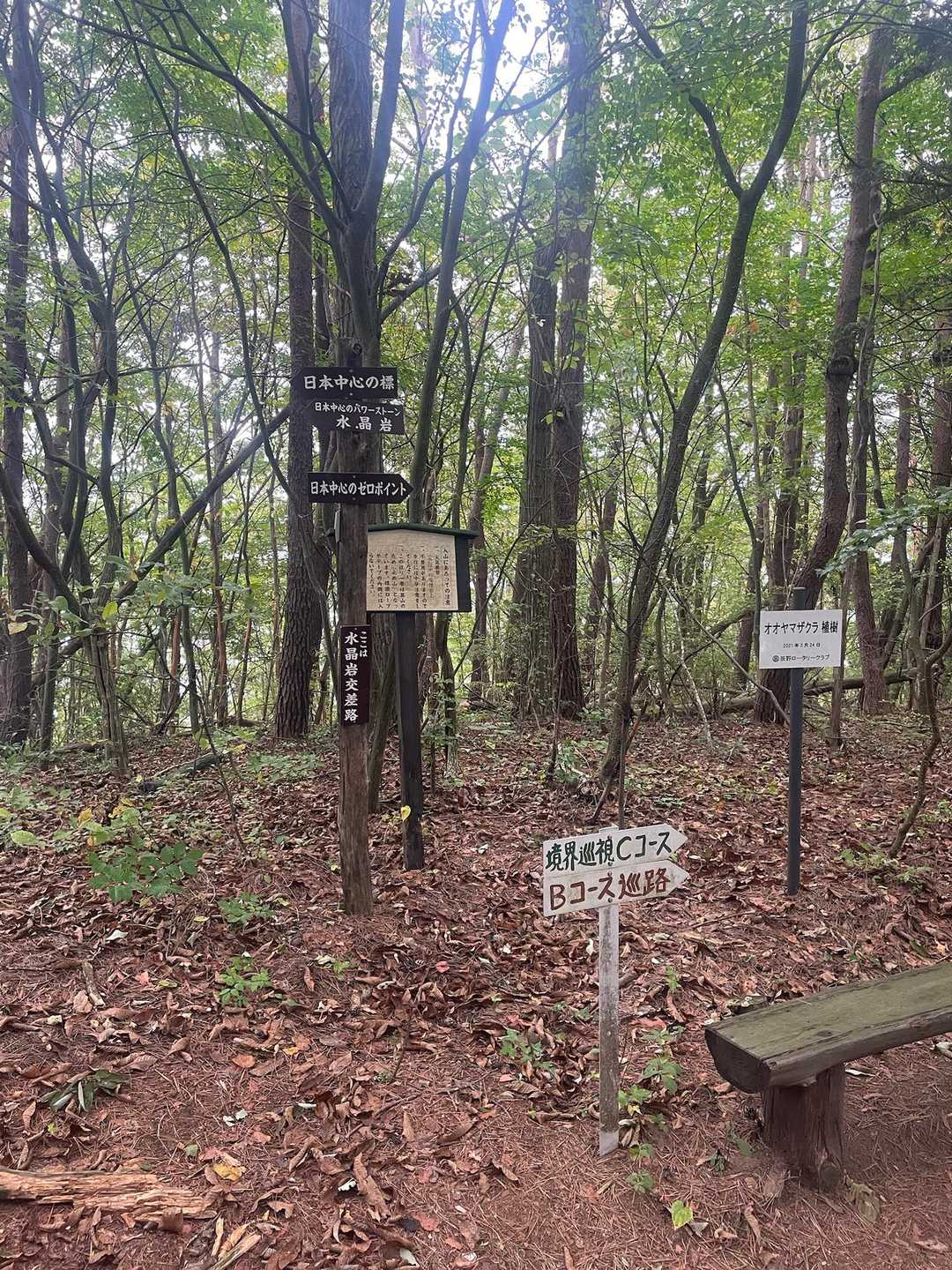 分岐
ココからは結構下ります