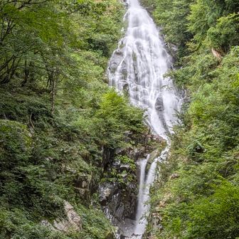 布滝。
水量多く見応えありました🏞️