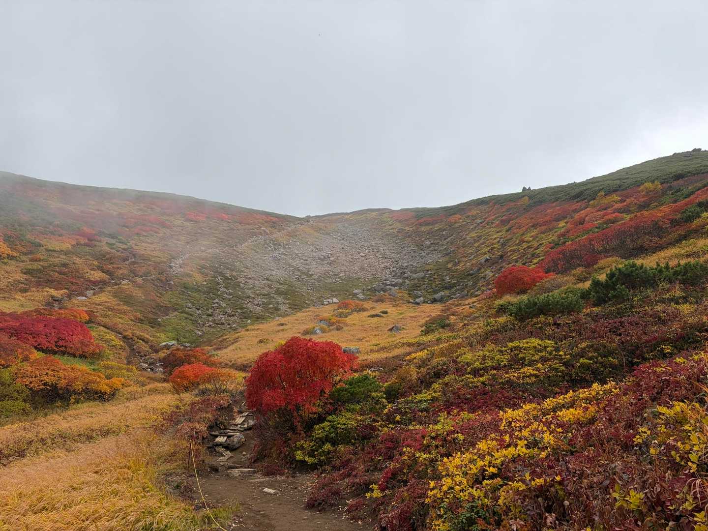 赤岳登山口-第一花園-赤岳-小泉岳 往復コースの写真