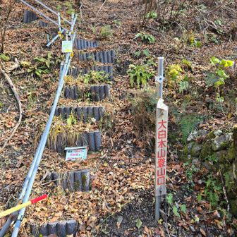 大白木山登山口まで降りて来ました
ここからは林道を4km歩きます