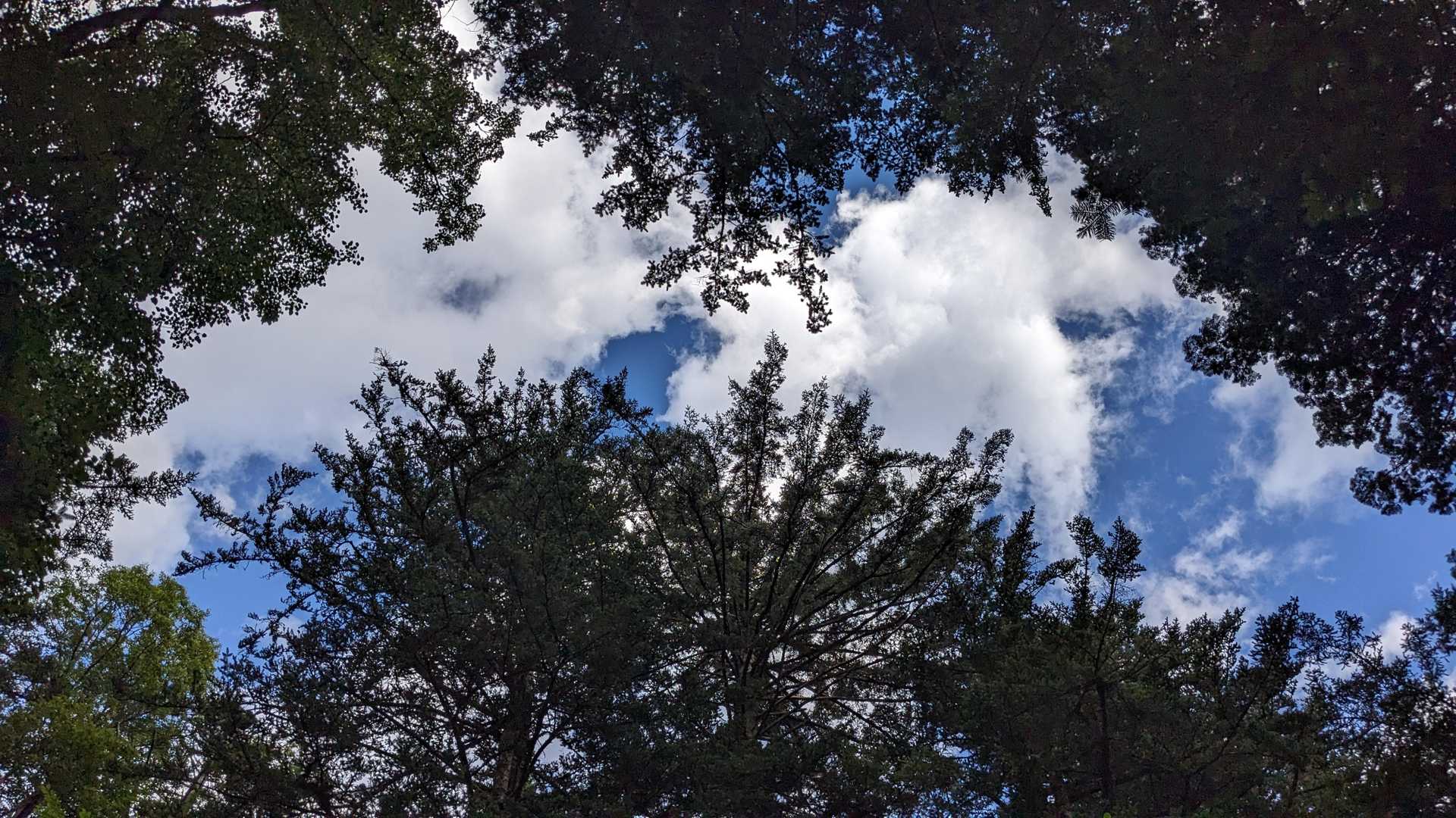 天気は問題無さそう