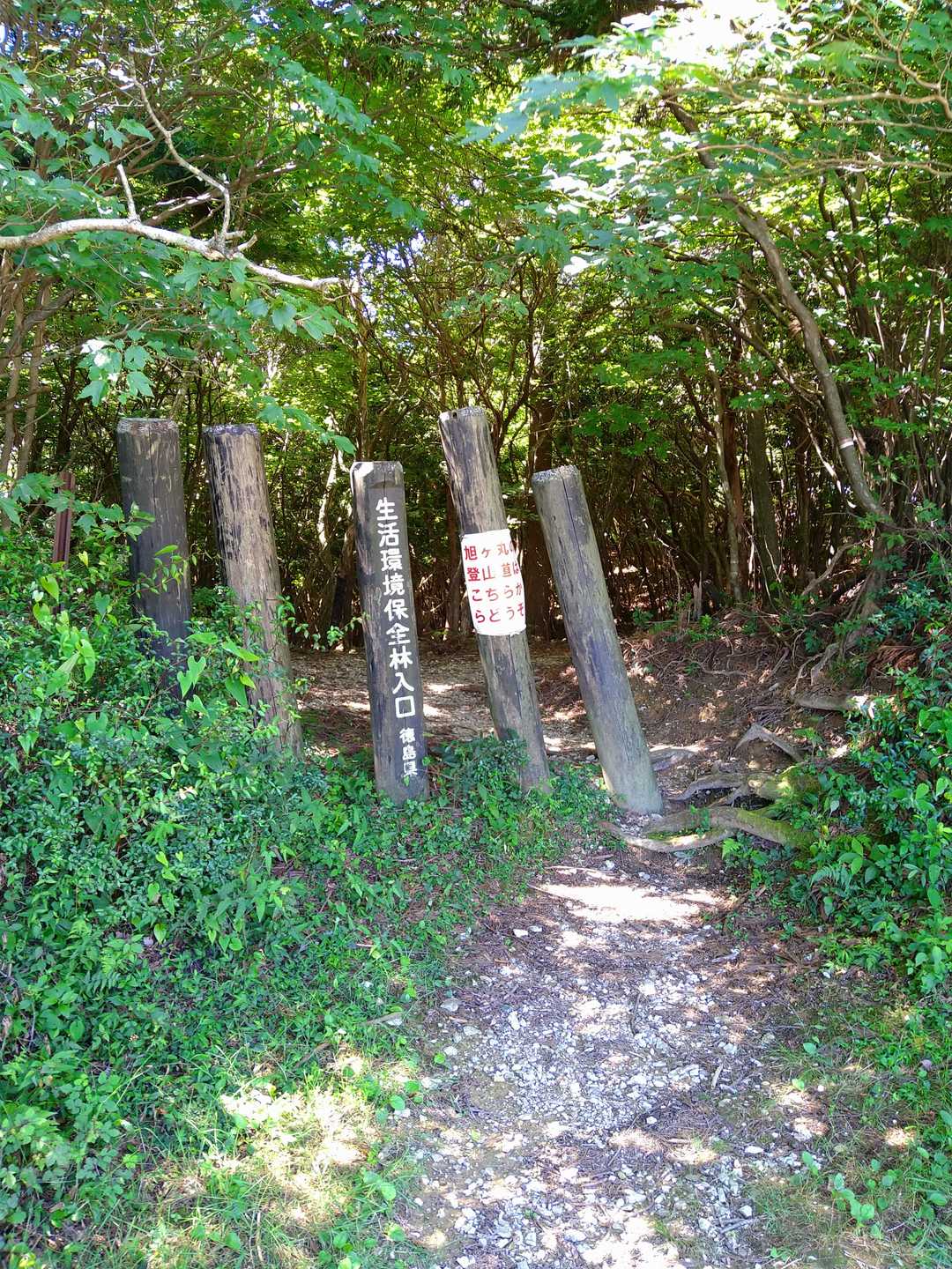 旭ヶ丸登山口　🐍や🐝を気にしつつ山道へ