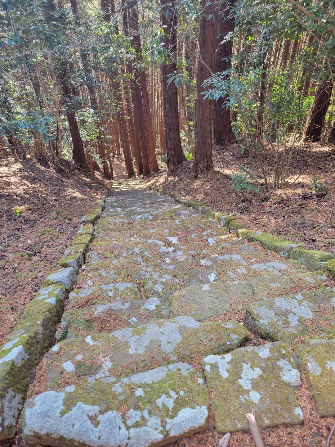 途中の階段175段