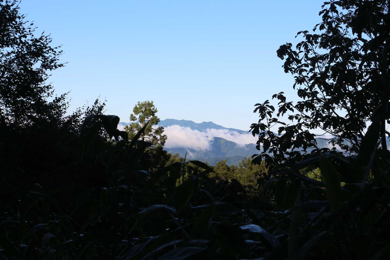 途中に癒しの景色がありました。景色を見ながら休憩。