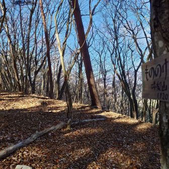 吽梨山は、
あっという間、、、、一般的にはただの小ピーク？？